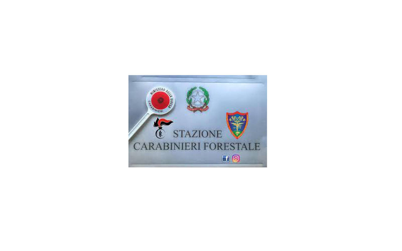 Immagine: Comando Stazione Forestale 