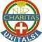 Immagine: Unione Nazionale Italiana Trasporto Ammalati a Lourdes e Santuari Internazionali -U.N.I.T.A.L.S.I.