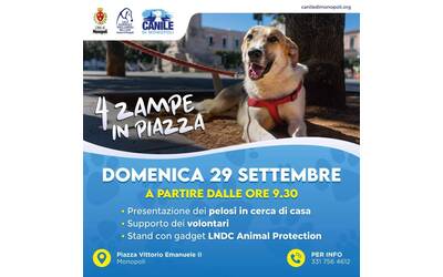 Immagine: 4 zampe in piazza