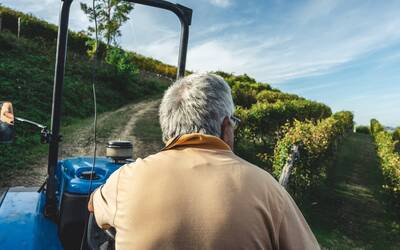 Immagine: agricoltura