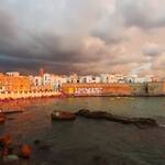 Immagine: Albadinote_03
