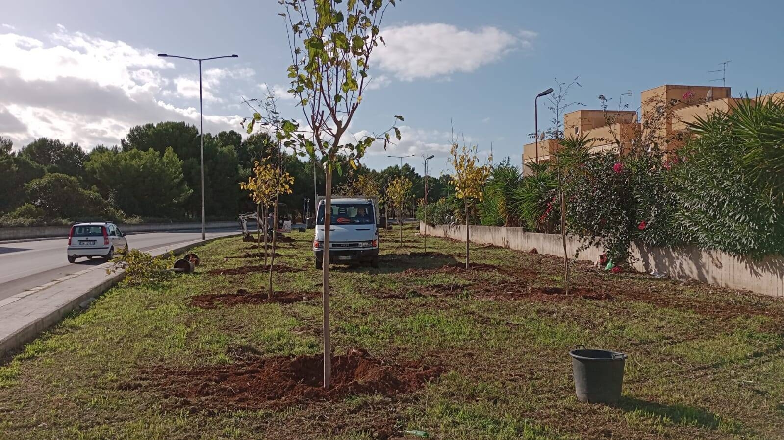 Immagine: Alberi_2023_01
