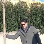Immagine: Alberi_2023_03