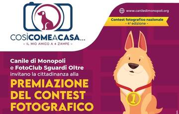 Contest fotografico nazionale e Calendario del Canile di Monopoli