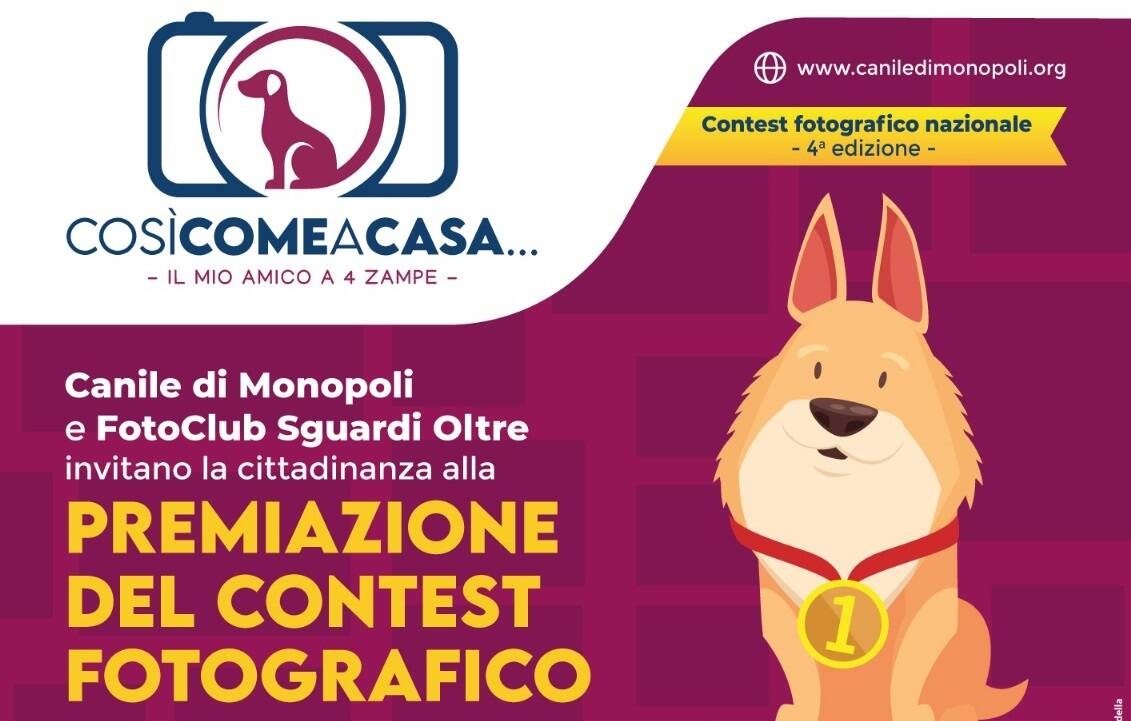 Immagine: canile_2024