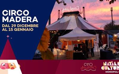 Immagine: Circo_Madera