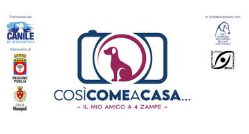 “Così come a casa – il mio amico a quattro zampe”