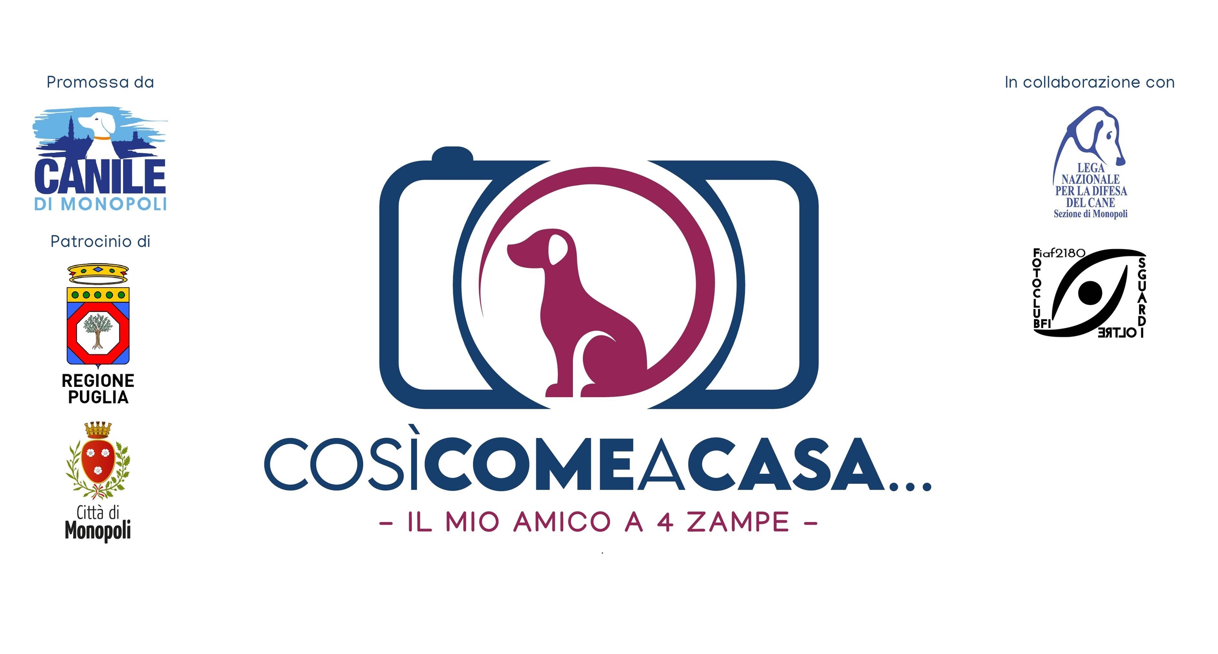 Immagine: CONTEST_FOTOGRAFICO_LOCANDINA