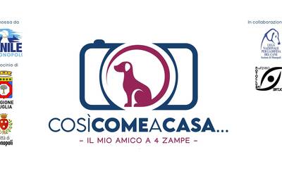 Immagine: CONTEST_FOTOGRAFICO_LOCANDINA
