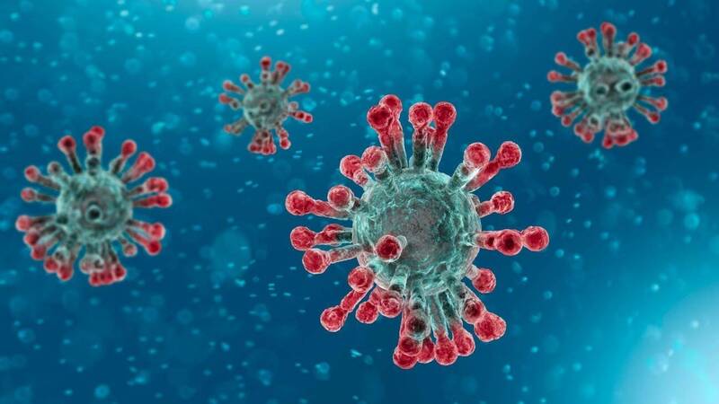 Immagine: coronavirus