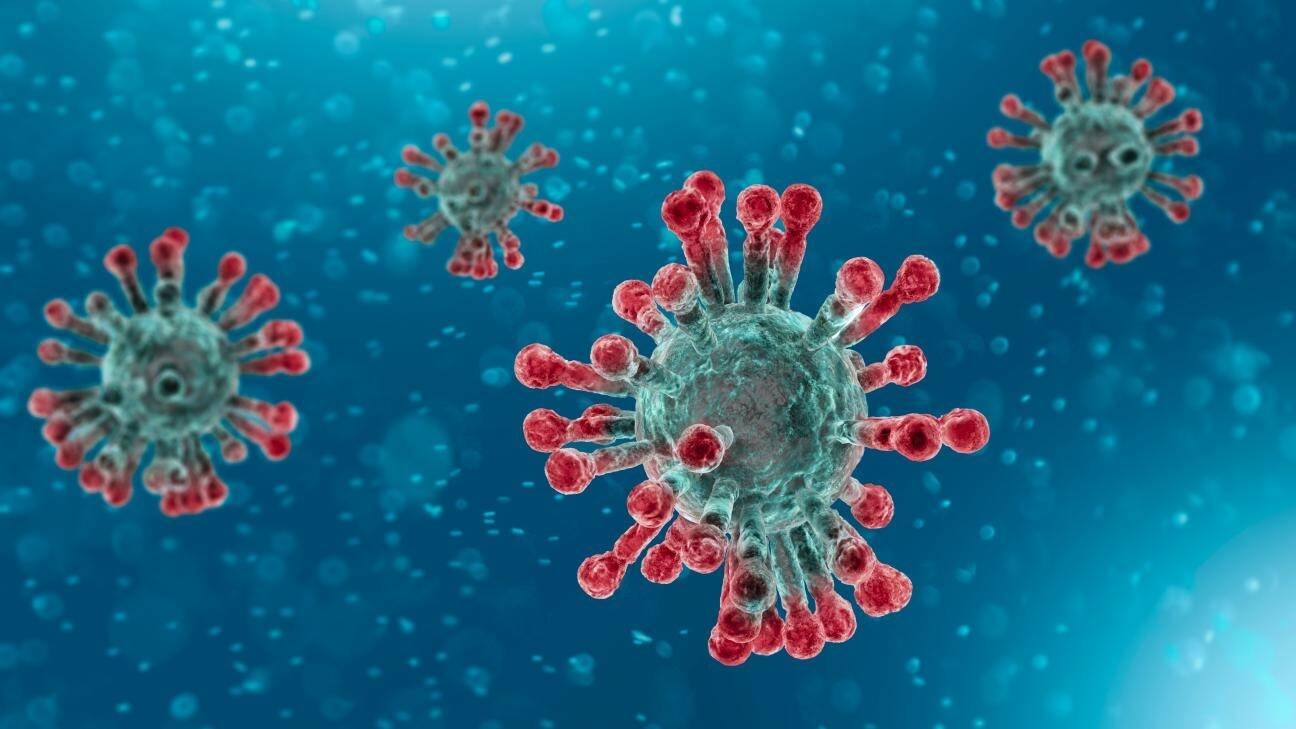 Immagine: coronavirus
