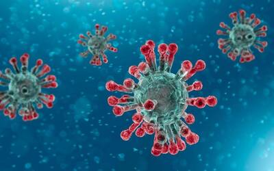 Immagine: coronavirus