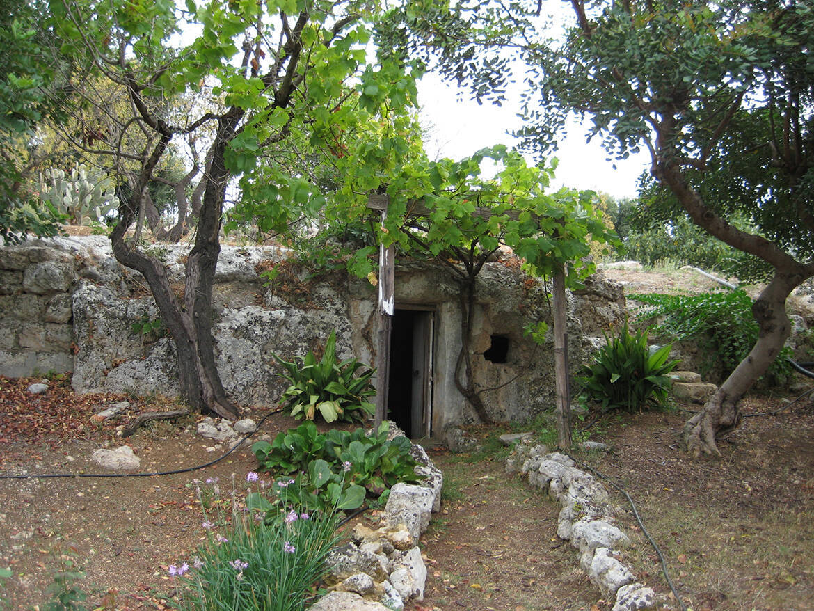 Giardino botanico, cripta
