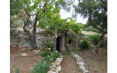 Giardino botanico, cripta