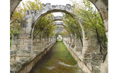 Immagine: giardino_galderisi_1 (1)
