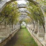 Immagine: giardino_galderisi_1