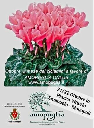 Giornata ciclamini "Amopuglia" 2023