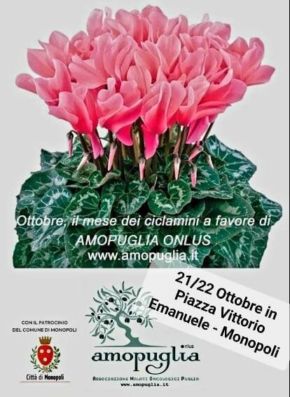 Immagine: giornata ciclamini Amopuglia 2023