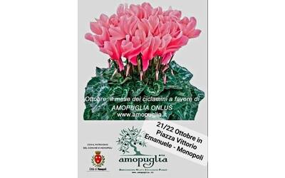 Immagine: giornata ciclamini Amopuglia 2023