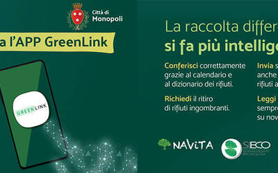 Immagine: greenlink2021