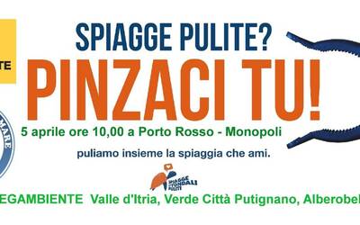 Immagine: Invito Spiagge&fondali puliti