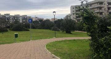 Giornata Mondiale degli Alberi a Parco Lama Belvedere