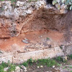Immagine: LamaBelvedere5