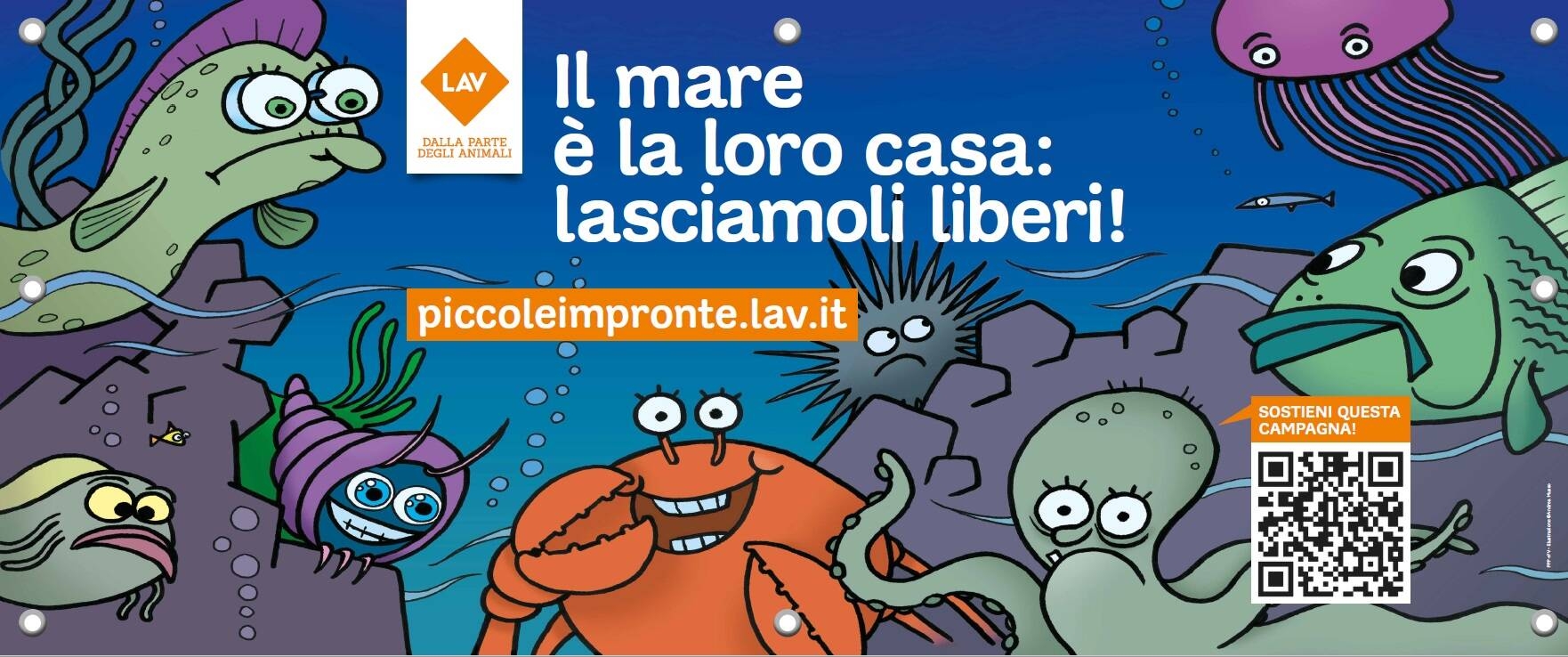 Immagine: lav_mare