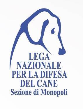 L'istituto della messa alla prova - realtà e prospettive