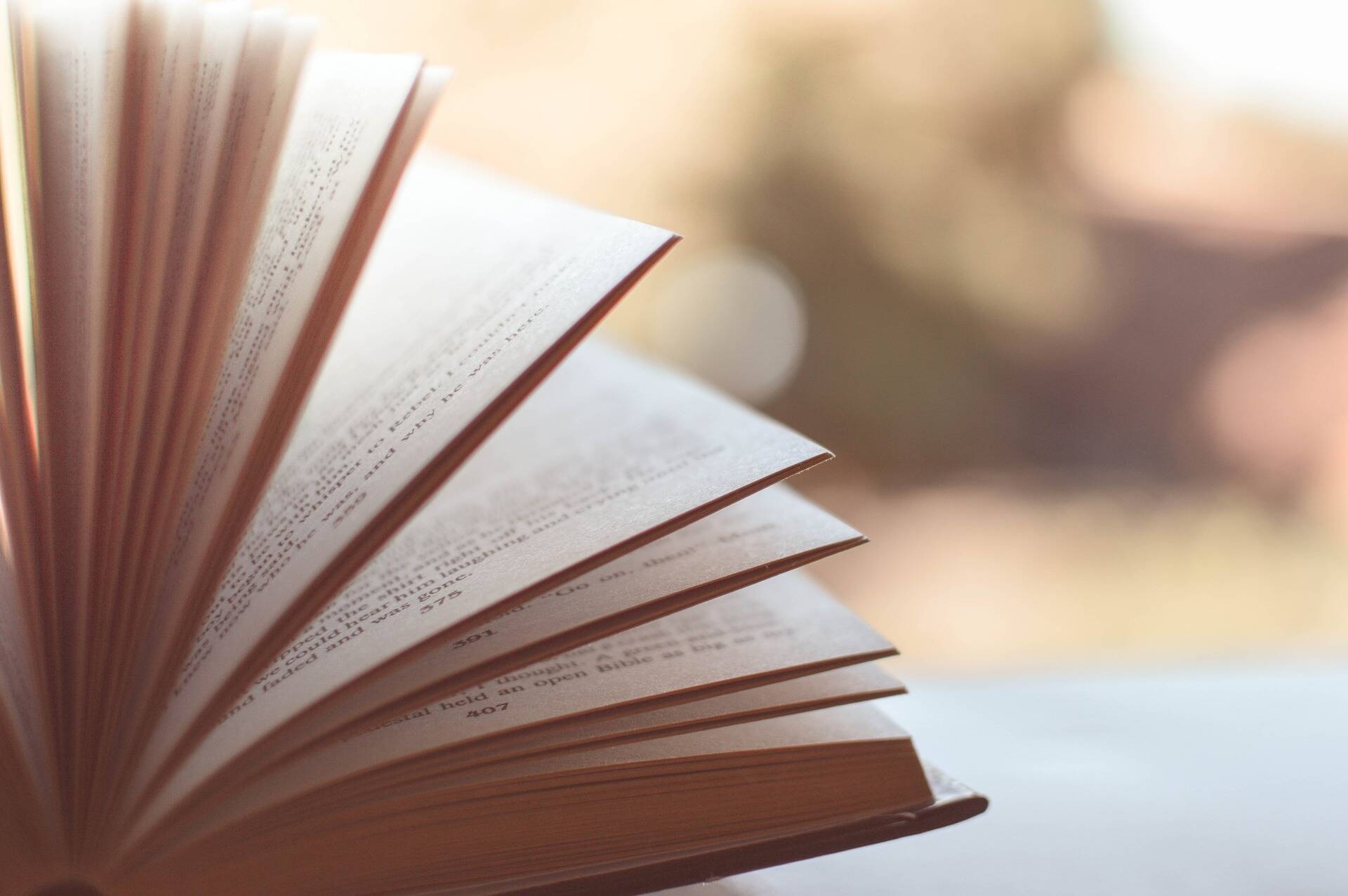 Immagine: Libro
