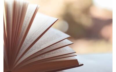 Immagine: Libro