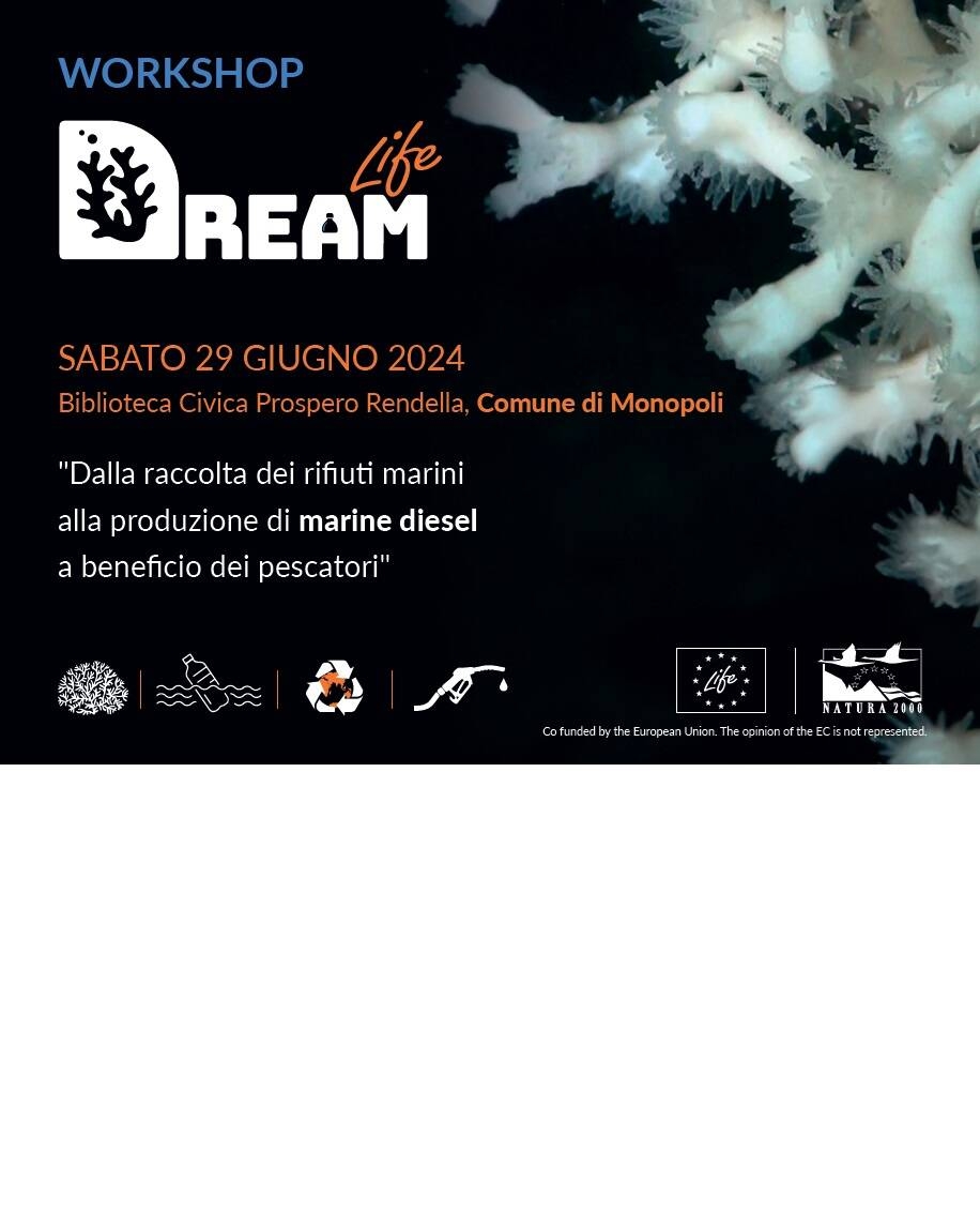 Immagine: LifeDream_workshop