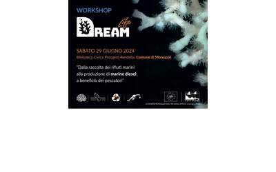 Immagine: LifeDream_workshop