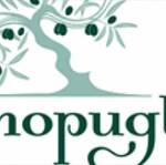 Immagine: logo amopuglia