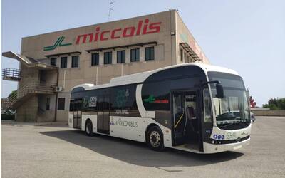 Immagine: miccolis_test