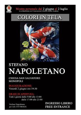 Colori in tela, mostra personale di Stefano Napoletano
