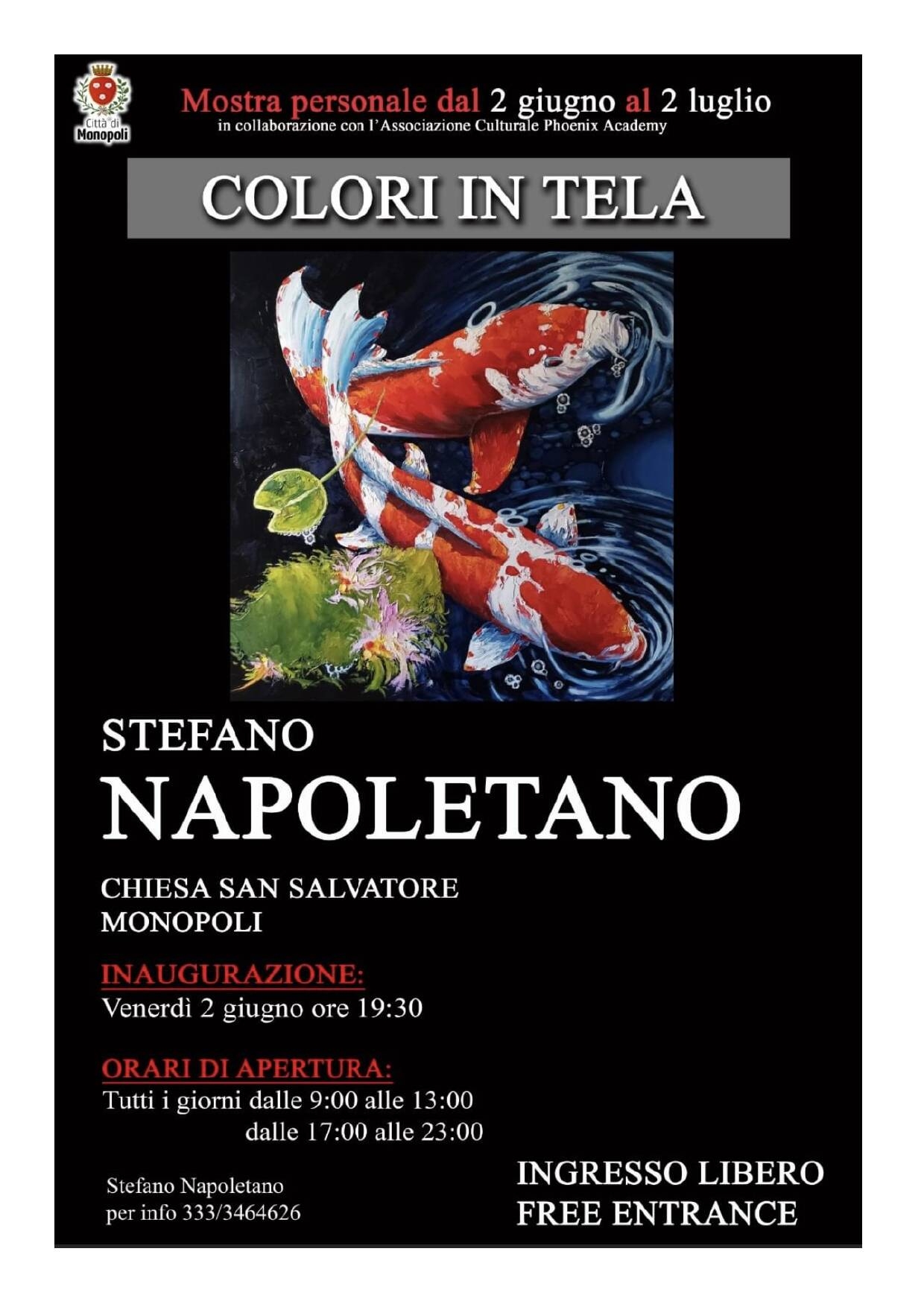 Immagine: MOSTRA STEFANO NAPOLETANO