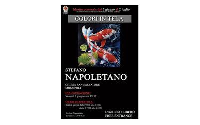 Immagine: MOSTRA STEFANO NAPOLETANO