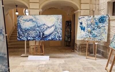 Immagine: MOSTRA_SUSCA_2024