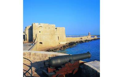 Immagine: Museo dell'artiglieria all'aperto