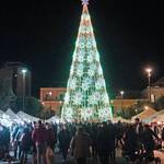 Immagine: Natale_2022_albero