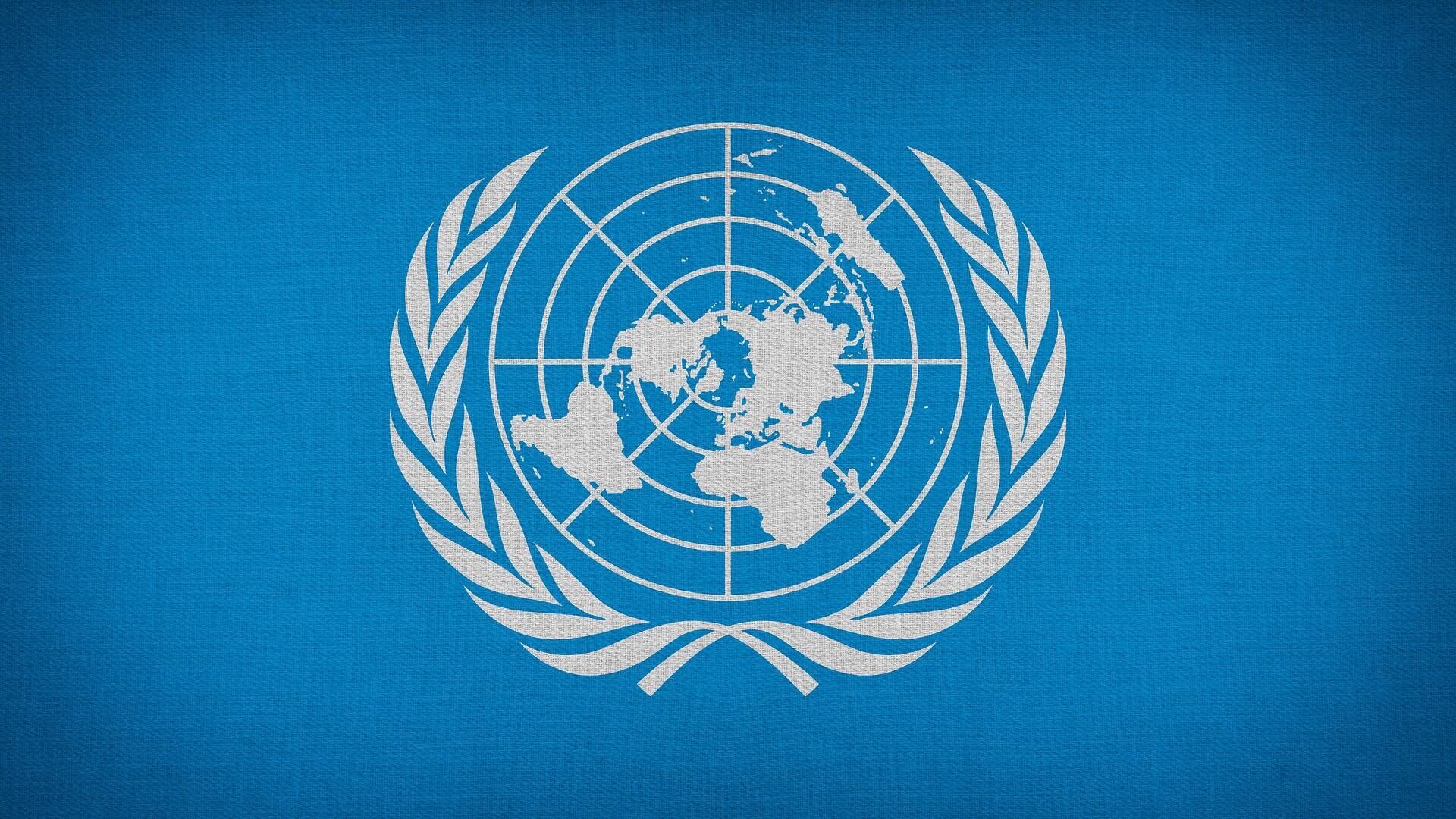 Immagine: Onu bandiera