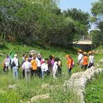 Parco Lama Belvedere