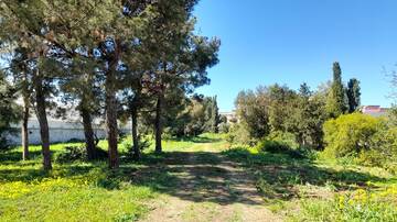 Al via i lavori per un parco urbano da 14 mila metri quadrati