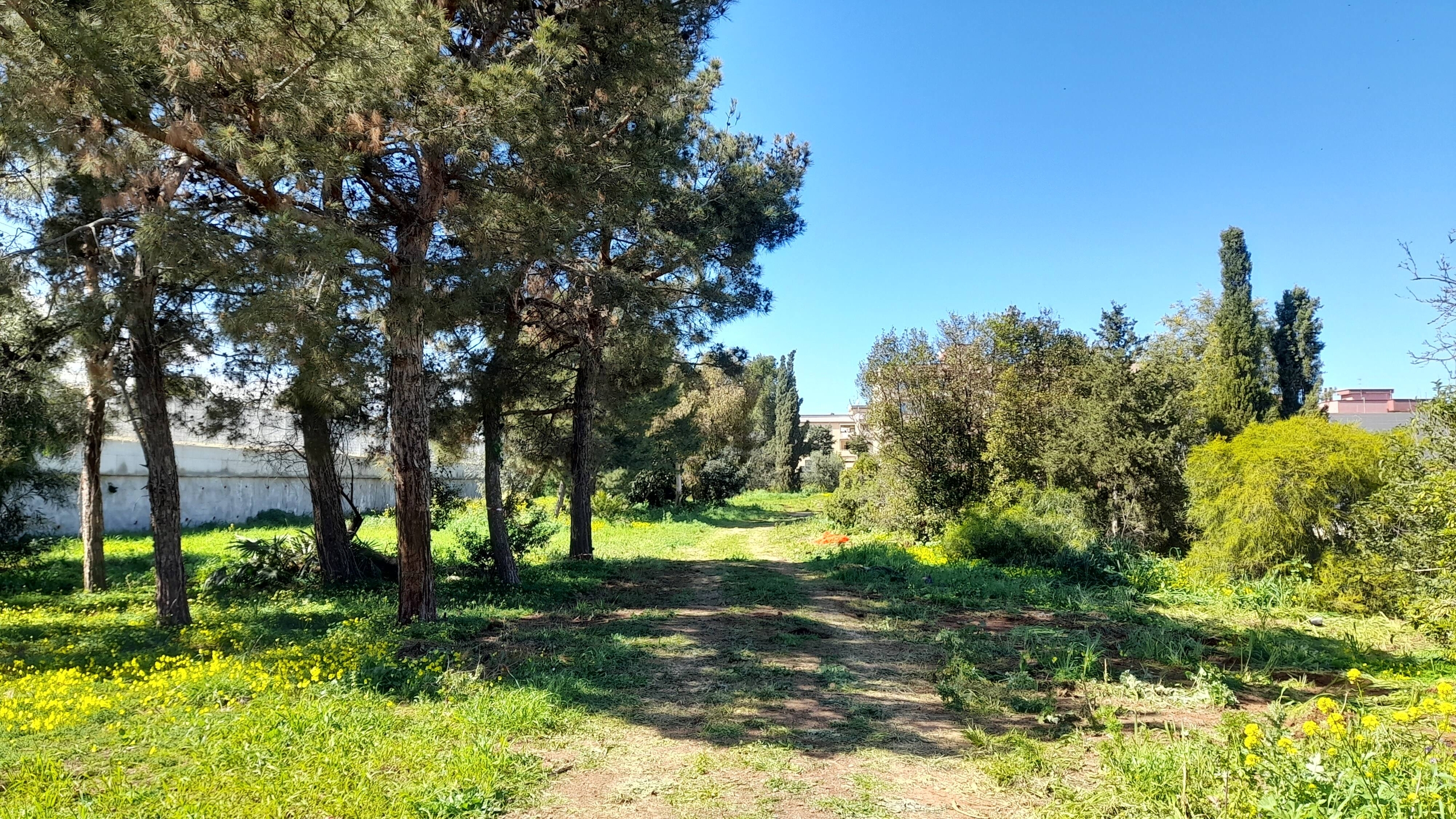 Immagine: PARCO_URBANO_18_03_2025_01