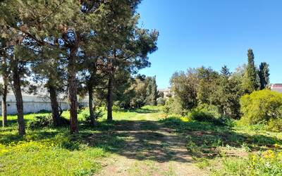 Immagine: PARCO_URBANO_18_03_2025_01