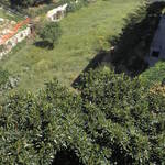 Immagine: parcolamabelvedere3