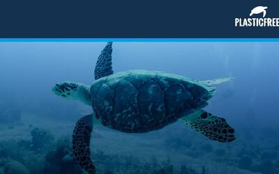 Immagine: PLASTIC_FREE