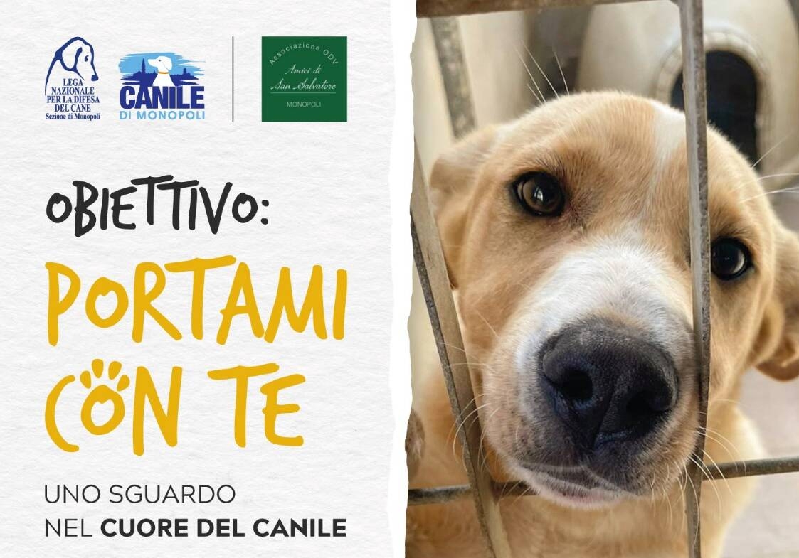 Immagine: portami_con_te