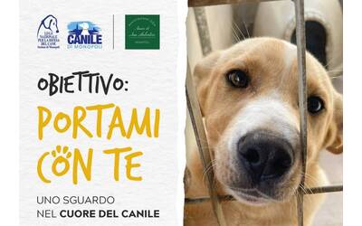 Immagine: portami_con_te